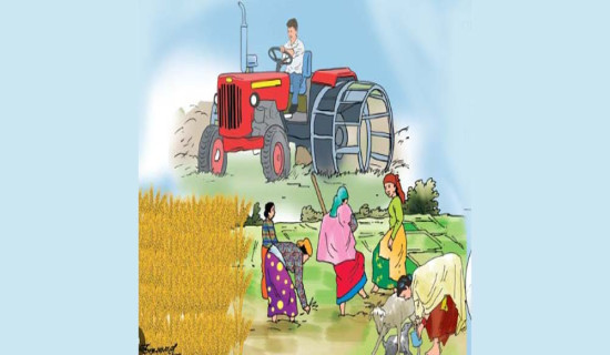 हराउन थाले पहाडी ट्रक