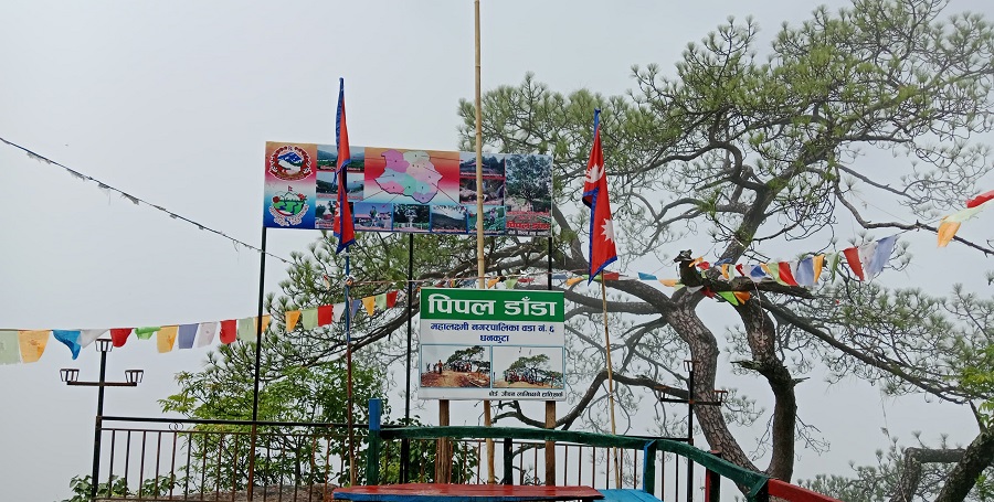 चिटिक्क सिङ्गारिएको पिपल डाँडा