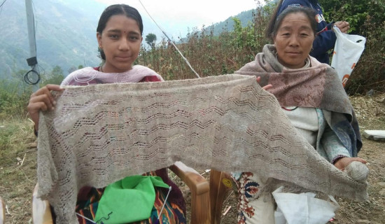 सिप सिकेर उद्यमी बन्दै जैमिनीका किशोरी