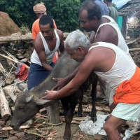 शिक्षक महासङ्घको महाधिवेशन आजदेखि