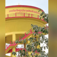 सूर्यमुखी खेती घट्दै