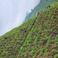 गण्डकीका आठ जिल्लाका खेलकुद समितिमा राजनीतिक भागबण्डा