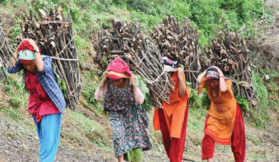 समावेशीकरणको दिशामा एउटा फड्को : गोरखापत्रद्वारा प्रकाशित थारु भाषा