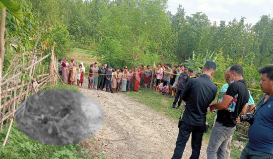 कृषक, कर्मचारी र पत्रकार सम्मानित