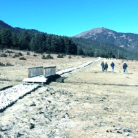 हाइकुसङ्ग्रह ‘वाटिका’ विमोचन