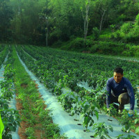 अब समृद्धिको यात्रा