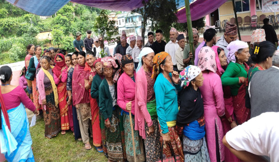 गहुँ बालीलाई मल माग्दै किसान