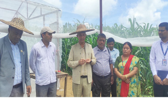 समावेशीकरणको दिशामा नयाँ फड्को : गोरखापत्रद्वारा प्रकाशित बज्जिका भाषा