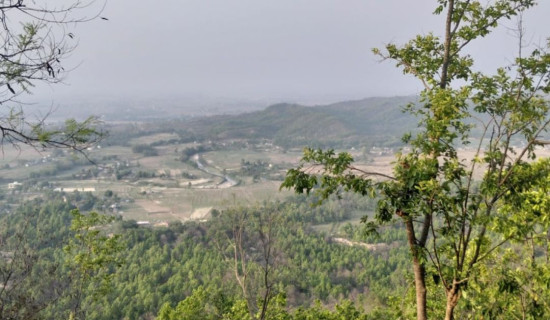 उम्मेदवारका प्रतिबद्धता कार्यान्वयनका लागि लिखित करारनामा