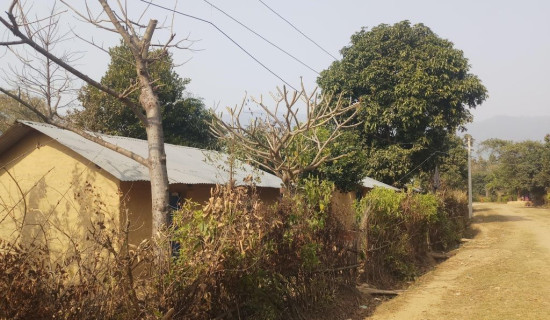 पहिरोमा पुरिएर शिक्षिकाको मृत्यु पछि शोक बिदा