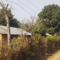 विशेष अदालतको फैसला विरुद्ध अख्तियार दुरुपयोग अनुसन्धान आयोग सर्वोच्चमा