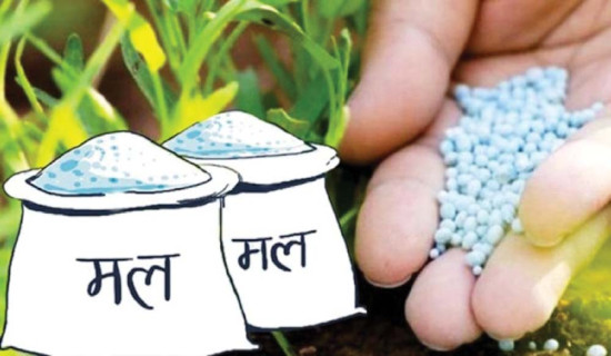 रासायनिक मलको मूल्य बढ्न सक्ने