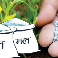 उत्कृष्ट तीन कृषक सम्मानित