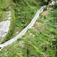 माओवादीसँग एक्लै निर्वाचन लड्ने तागत छ : उपमहासचिव पुन