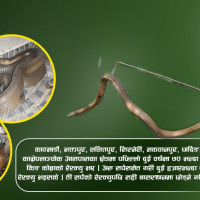 मलामी नपाउँदा घरमै आमाको शव कुर्दै प्रकाश