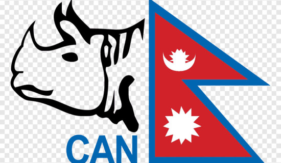 यु–१६ क्रिकेट टोलीको घोषणा