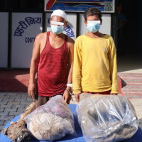 आइसिसी पुरुष क्रिकेट विश्वकप: नेपालद्वारा अमेरिकालाई २८७ रनको लक्ष्य