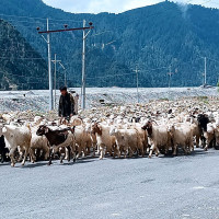 सडक विस्तार छिटो सक्न माग गर्दै चक्का जाम, ठेकेदारले तिर्यो आठ करोड