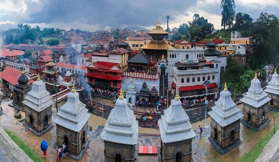 क्षति न्यूनीकरण गर्न विशेष योजना ल्याइने