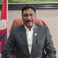 भेडाका बथान चर्दै