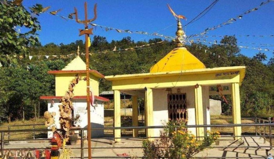 वडाध्यक्ष पोखरेलको लोभलाग्दो कृषि कर्म