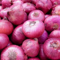 बागमतीमा प्रदेश युवा सम्मेलन हुने