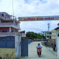 इजिप्ट मलेरियामुक्त भएको डब्ल्यूएचओको पुष्टि