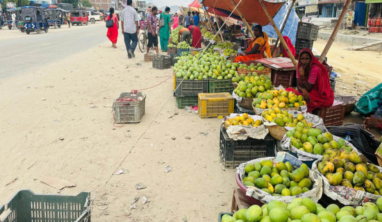 मधेश सरकार गुरुदेवको शोकमा : राष्ट्रिय झन्डा आधा झुकाइयो