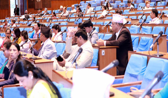 पूर्वाधार क्षेत्रमा विनियोजित बजेट न्यायसङ्गत भएनः सांसद बस्नेत