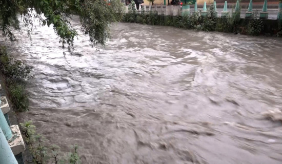 धोवीखोलामा बाढी (फोटो फिचर)