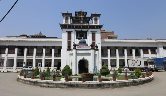 साहित्य प्रतिष्ठानद्वारा स्रष्टा सम्मानित