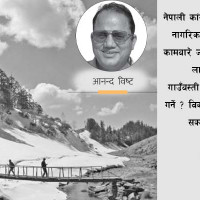 काउलीको व्यापार