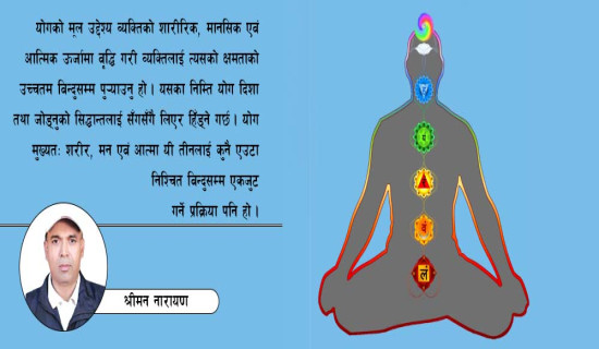काउलीको व्यापार