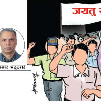 काउलीको व्यापार
