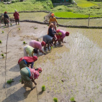 शीतलहरबाट बाँकेमा ३५ सय परिवार प्रभावित हुने