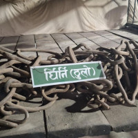 भेडे खुर्सानीका बेर्ना