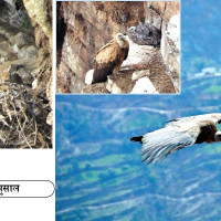 चखेवाका बथान