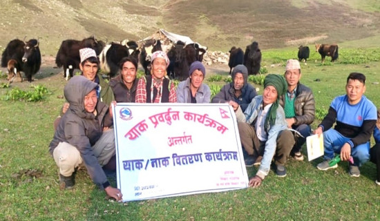 सात किसानलाई चौरी वितरण