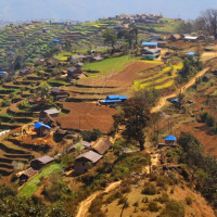 अर्थतन्त्र सुधारका प्रयास सकारात्मक : अध्यक्ष ढकाल