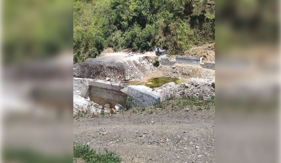 सत्र आङ्गिक क्याम्पसमा बिथोलियो स्ववियु चुनाव