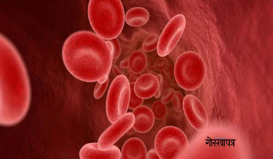 सहज बन्दै सिकलसेल बिरामीको उपचार