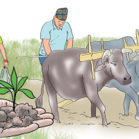 छोरा बेपत्ता भएपछि परिवार पीडामा