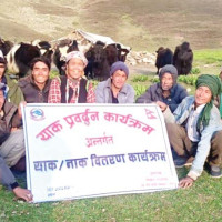 छोरा बेपत्ता भएपछि परिवार पीडामा