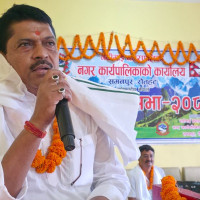 पाँच मुरीभन्दा बढी बदाम फलाउनेलाई पुरस्कार !