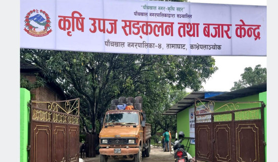 पाँचखालमा ‘विषादीरहित’ तरकारी सङ्कलन केन्द्र सञ्चालन