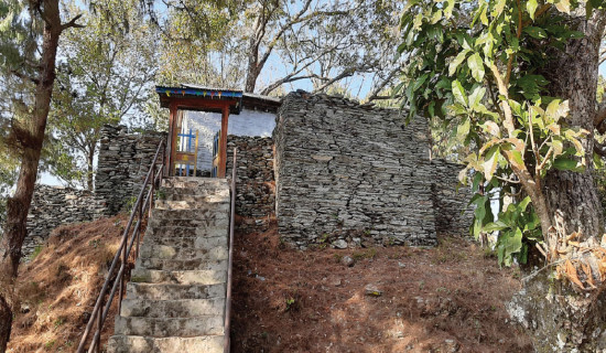 तीन दल खारेज प्रक्रियामा पाँच दललाई अन्तिम अवसर