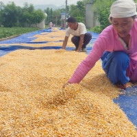 अस्तित्व सङ्कटमा बहिरा क्याम्पस