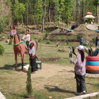 बर्दिबासमा सडक भोजन महोत्सव