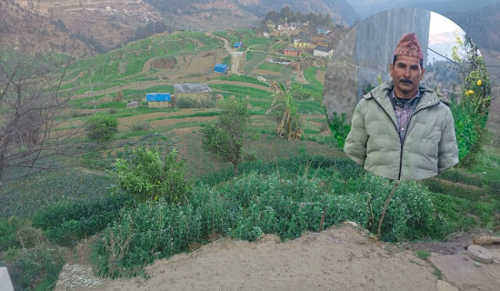 जनप्रतिनिधि बिष्टको व्यावसायिक कृषिमा उदाहरणीय सफलता