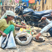 बिदा दिन स्थानीय तहलाई आग्रह